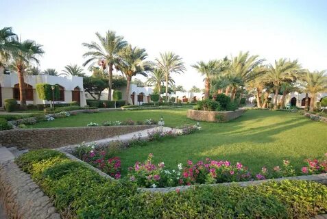 Regina hurghada