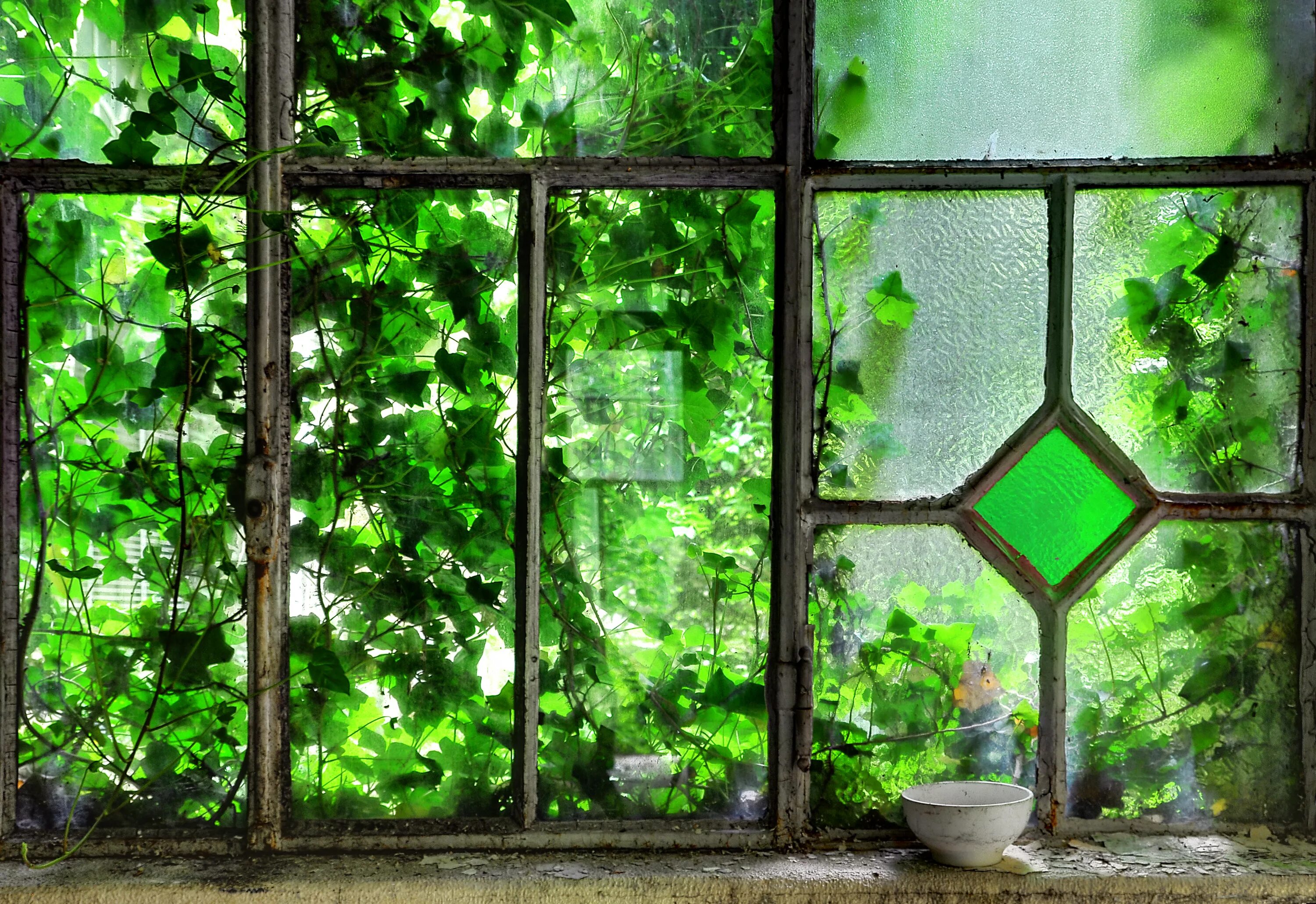 Окно в окне на андроид. Фотообои окно. Окно в природу. Фотообои окно видом на природу. Сад в окне.