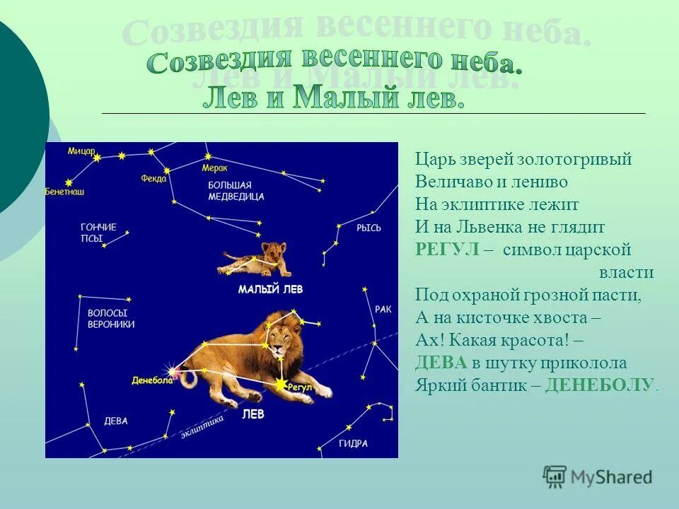 Какие звезды входят в малый лев. Рассказ о созвездии весеннего неба. рассказ о созвездии весеннего неба лев. созвездия весеннего неба 2 класс атлас определитель. созвездиевессенего неба.