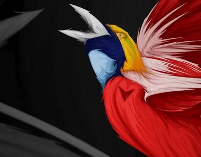 Paradise birds
