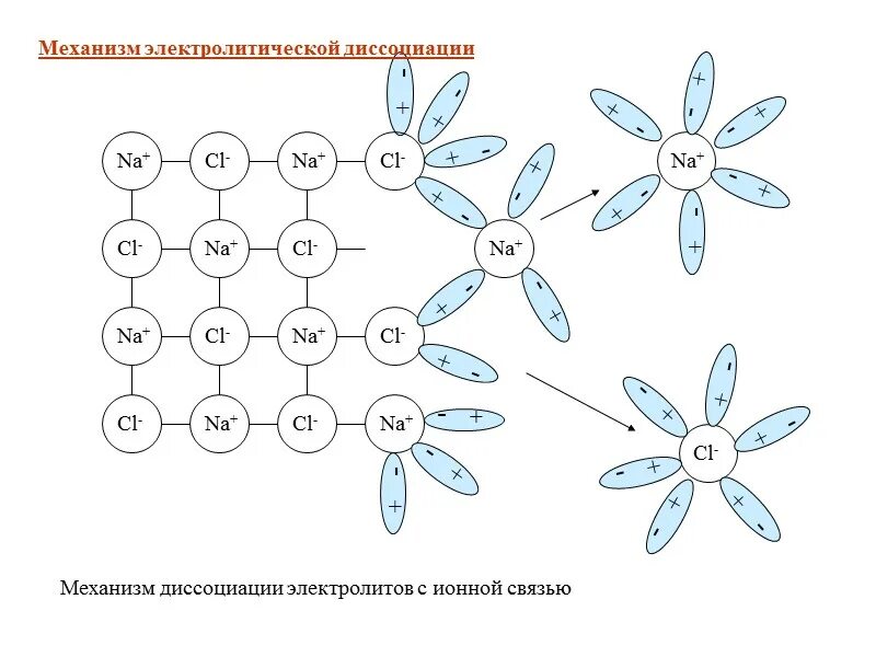 Схема процесса электролитической диссоциации. Механизмы диссоциации электролитов. Теория электролитической диссоциации схема. Механизм электролитической диссоциации ионных соединений. Схемы растворения