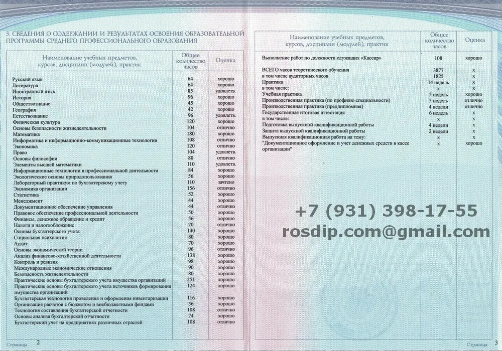 Бакалавр юриспруденции кем может работать
