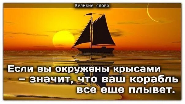 Что значит и вашим и нашим. Если вы окружены крысами значит что ваш корабль все еще плывет. если вы окружены крысами значит ваш корабль ещё. оглянись по сторонам если ты окружен крысами. если вы окружены крысами ,то значит.