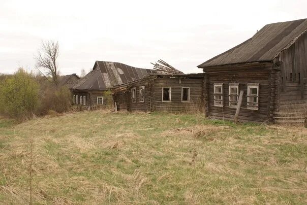 Вот такие помидоры. Всякие россказни Дзен