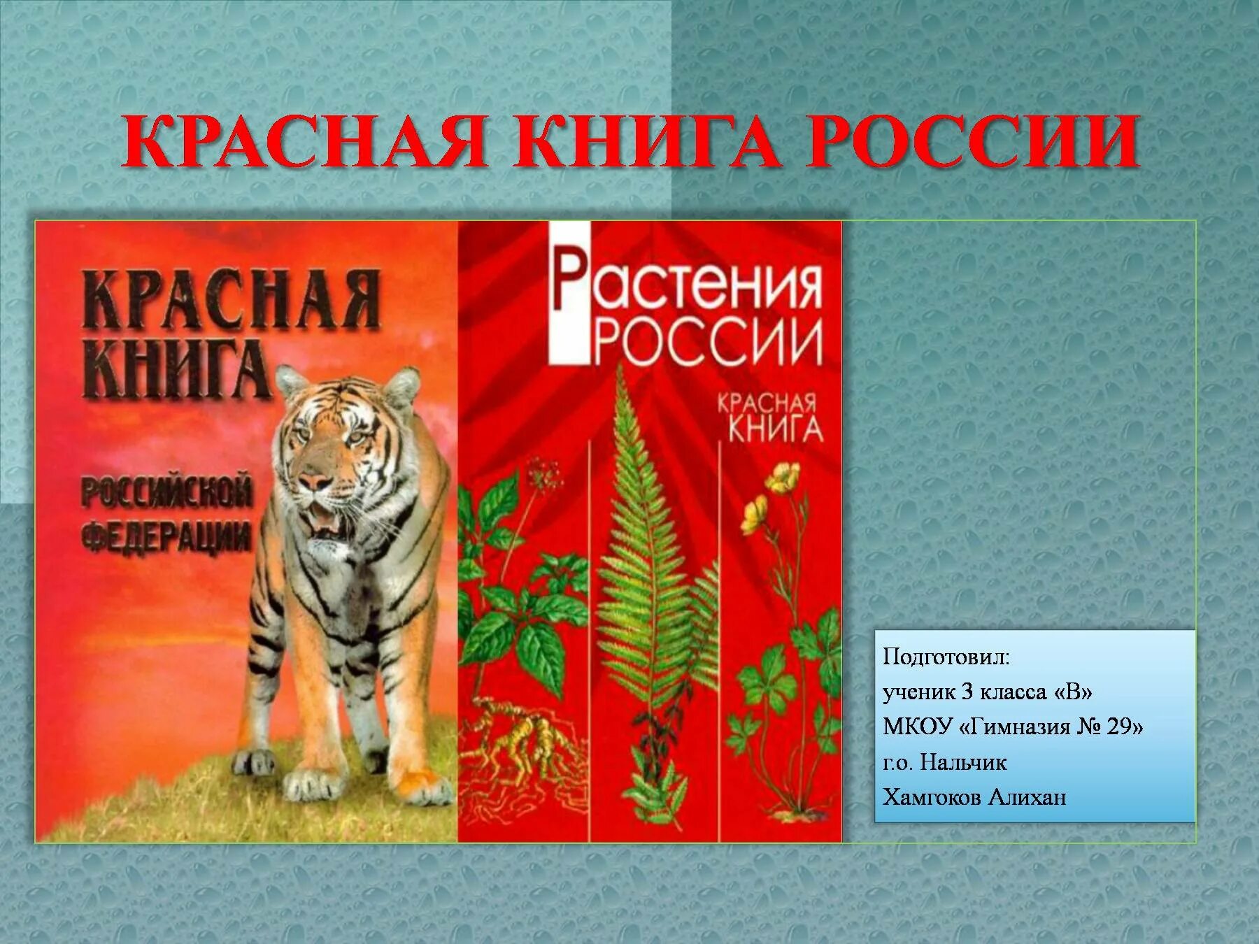 Книга о россии 4 класс. Красная книга. Красная книга России. Красная книга России животных. Обложка красной книги России.