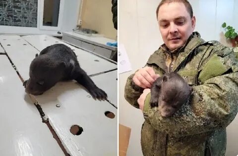 Спасли медвежонка