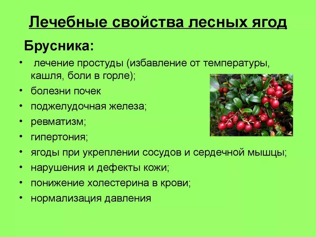 Чем полезна брусника. Брусника ягода полезные свойства. Брусника полезные свойства. Чем полезна ягода брусника. Ягодка характеристика