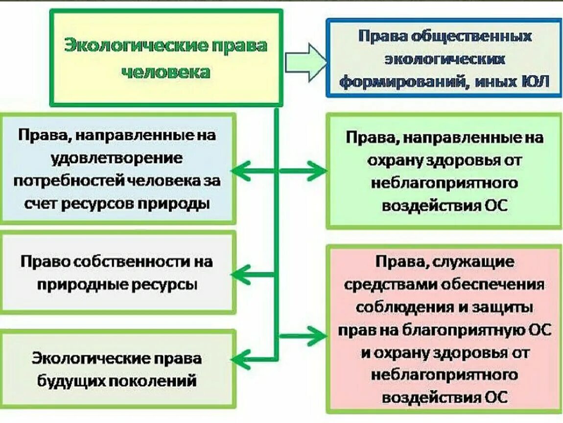 Экологические обязанности рф