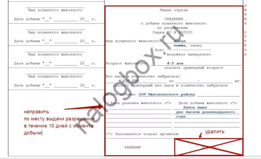 Результаты жеребьевки на добычу охотничьих ресурсов. Заявление на разрешение охоты образец. заполнение разрешения на добычу копытных животных. как заполнять разрешение на добычу охотничьих ресурсов.