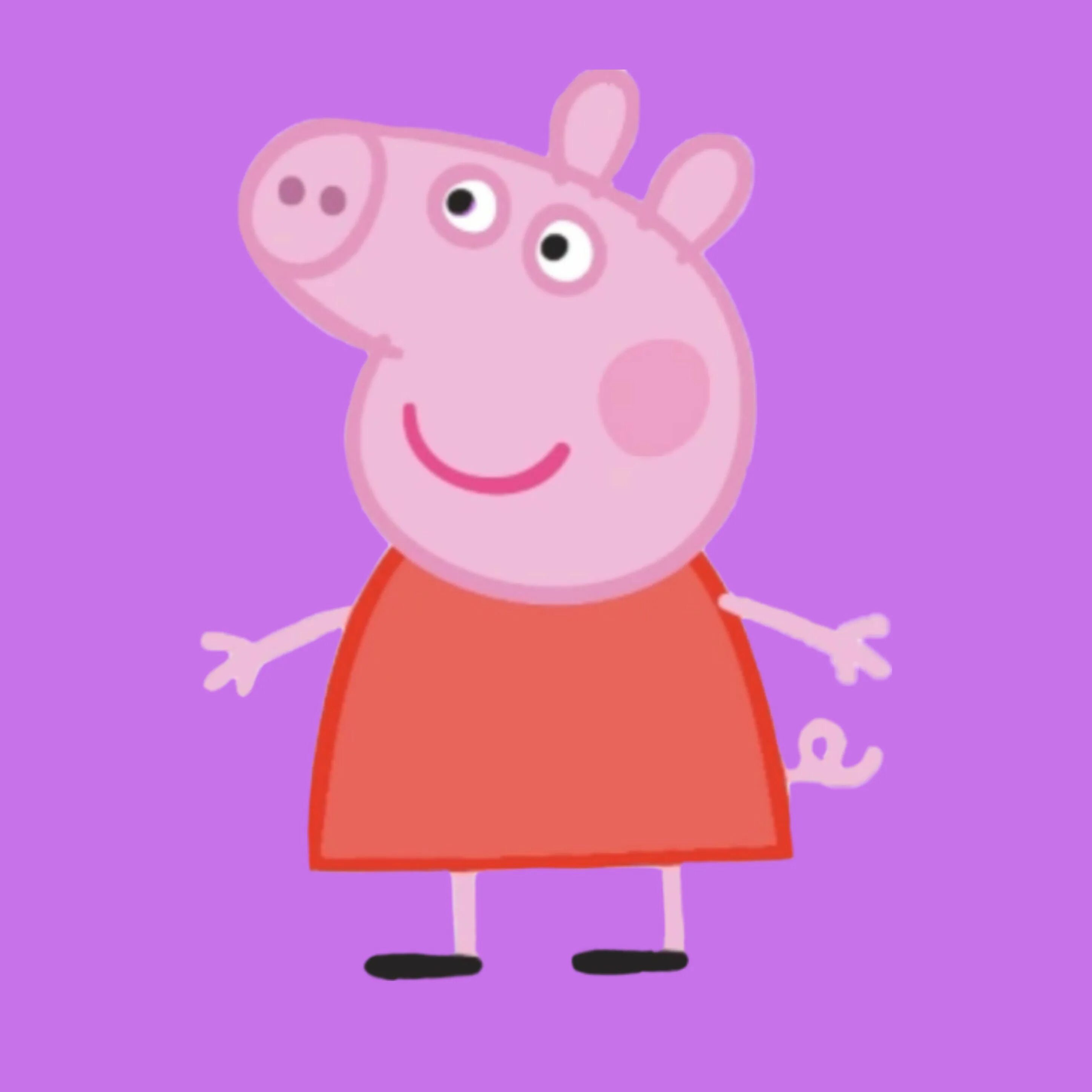 Свинка Пеппа. Пеппа Мадригаль Энканто. Свинка Пеппа (Peppa Pig).