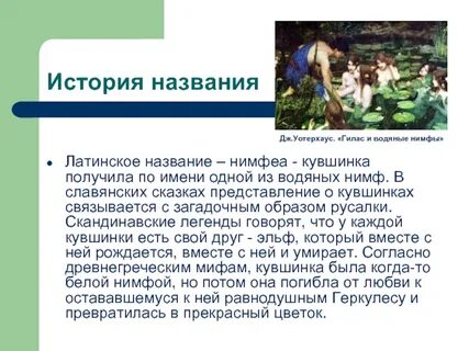 Нимфы описание