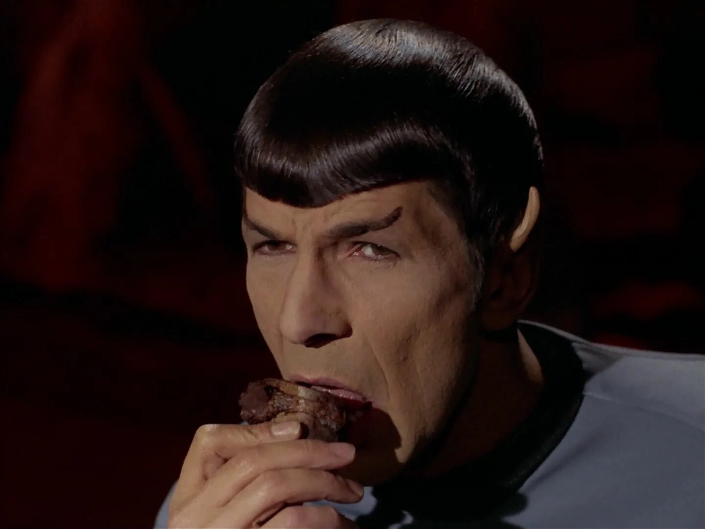 Котенок с ложкой. Рыжий кот кушает. Вегетарианство демотиваторы. Собачья логика. Обжорство.