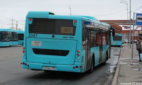 208 автобус спб