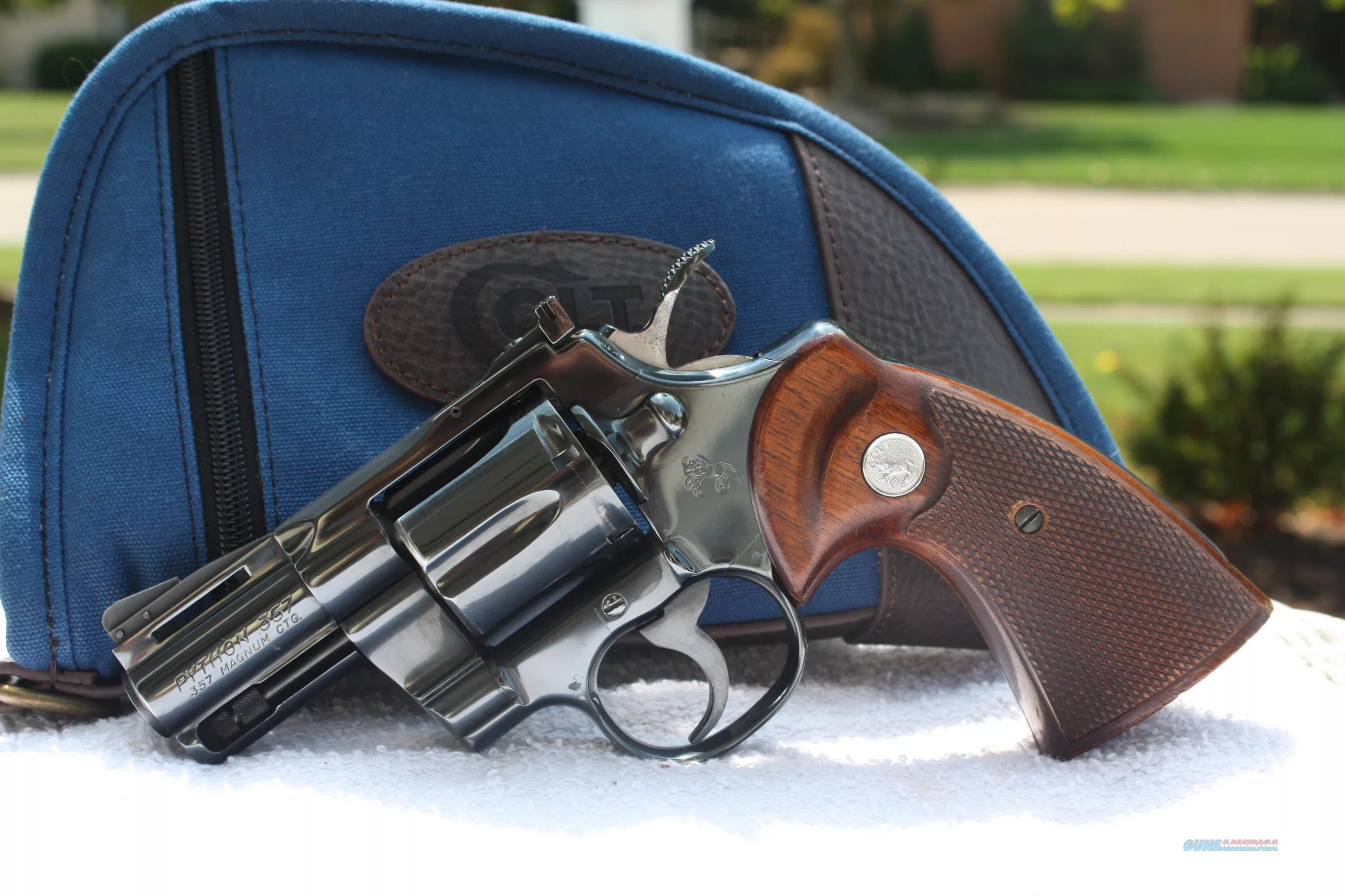 5. 5. Питон 2 5. Флоридский питон. Кольт питон 2.