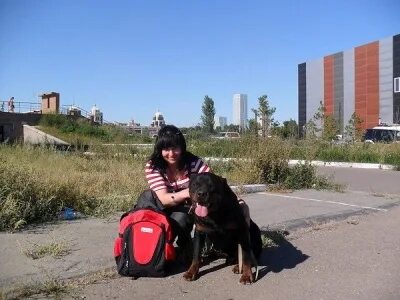 Собаки темиртау