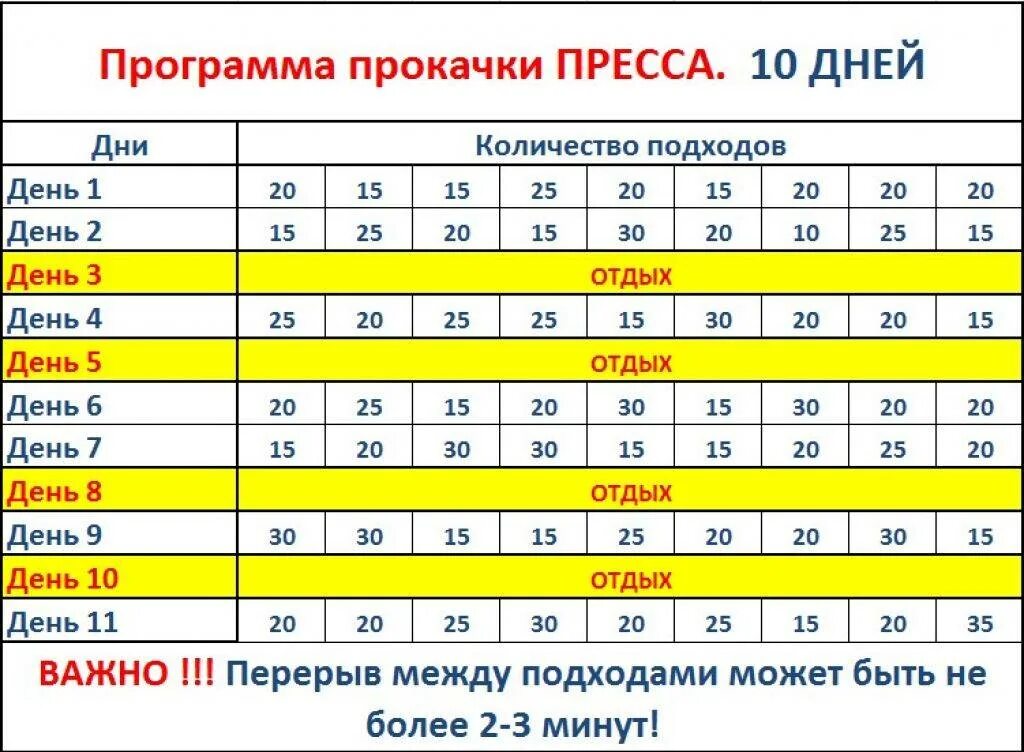 За сколько накачать мышцы