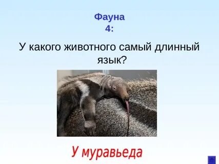 Какое животное является крупнейшим