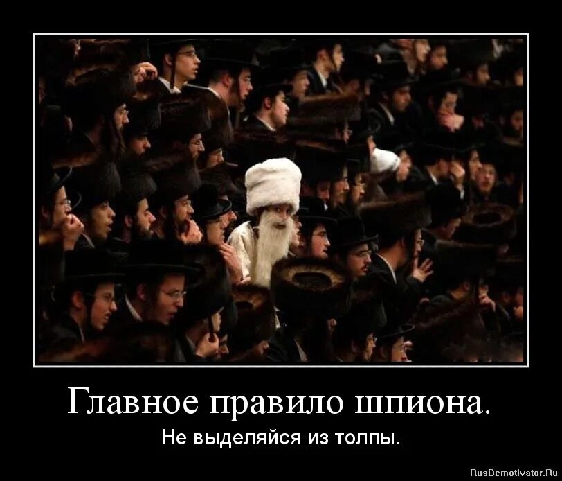 Я не буду выделять кто. Я не буду выделять кто. Слова которые не являются вводными. Котики крадут твои лучшие. Я не буду выделять кто.