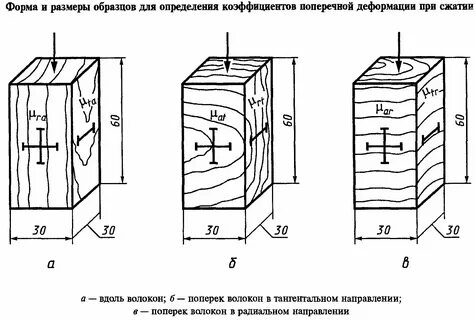 Древесина волокна какая ткань