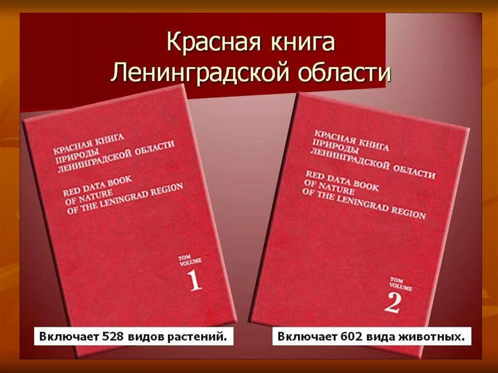 Красная книга ленинградской. Категории красной книги. Красная книга петербурга и ленинградской. Красная книга санкт-петербурга. Красная книга петербурга и ленинградской.