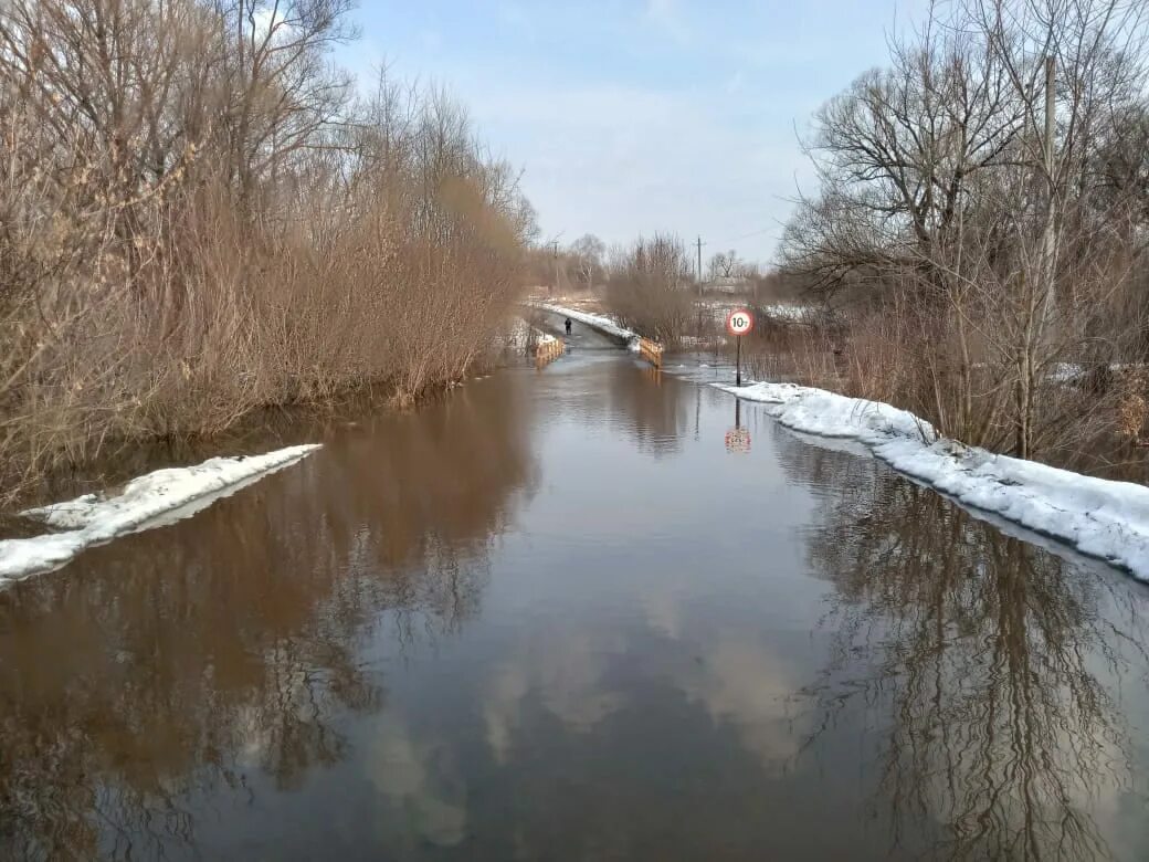 Паводок в рязанской области сейчас. Половодье в Шацком районе Рязанской области. Река Мостья Рязанская область. Разлив в Рязанской области. Спасск Рязанский половодье.