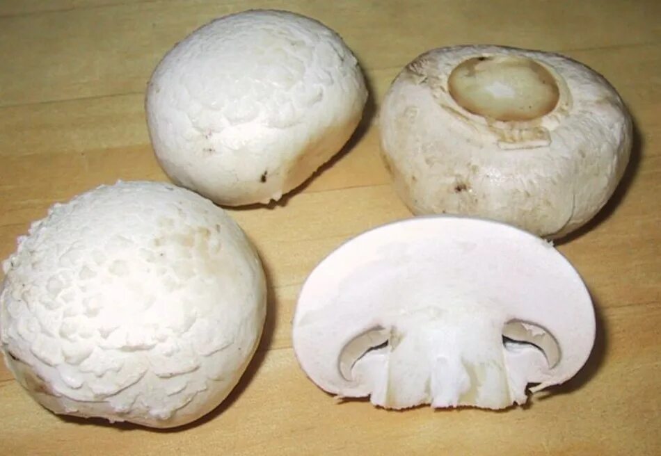Как выглядит шампиньон в разрезе. Шампиньон двуспоровый (agaricus bisporus). шампиньон двуспоровый съедобные грибы. агарикус биспорус. шампиньон двукольцевой.