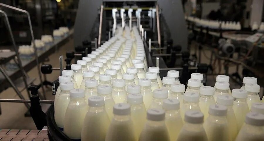 Ньюс молочный. Молочные продукты. Завод молочной продукции. Производство молока. Молочная промышленность.