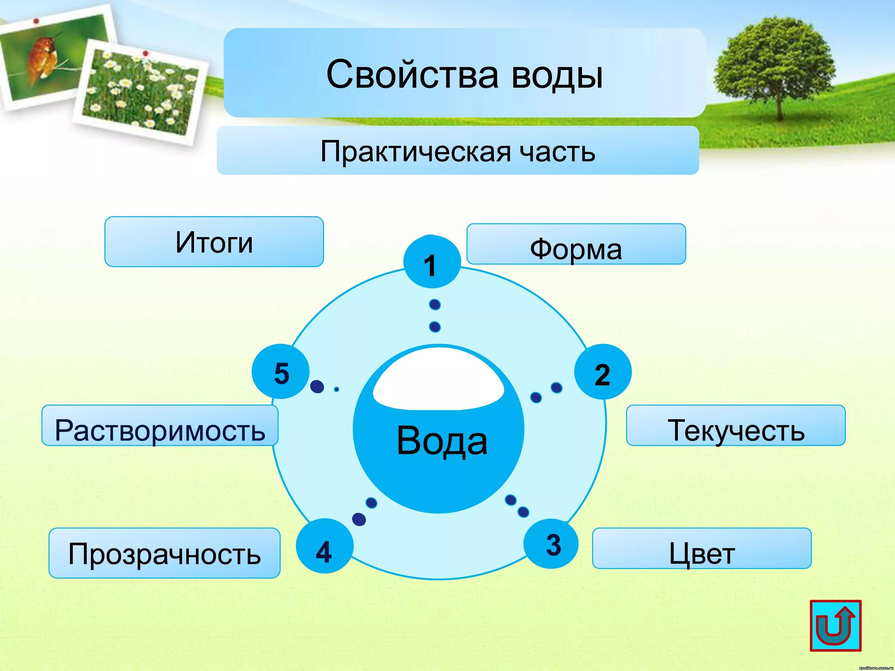 Примеры природной воды. Свойства воды. Свойства воды в природе. Вода в природе презентация. Схема свойства воды.