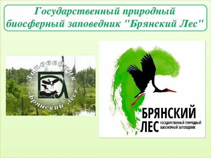 Рисунок символ всероссийский день заповедников и национальных