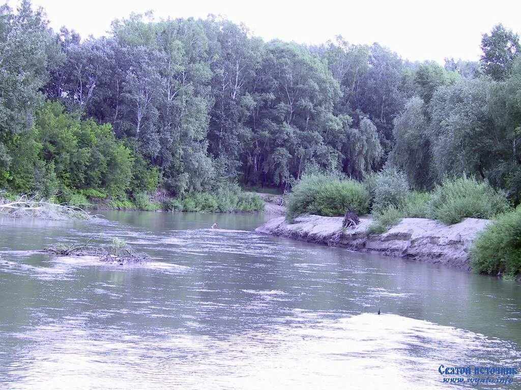 Река алей в Рубцовске. Алей (река) реки Алтайского края. Река аллея Алтайский край. Река алей алтайский