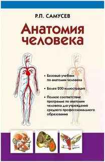 Практические работы по анатомии человека