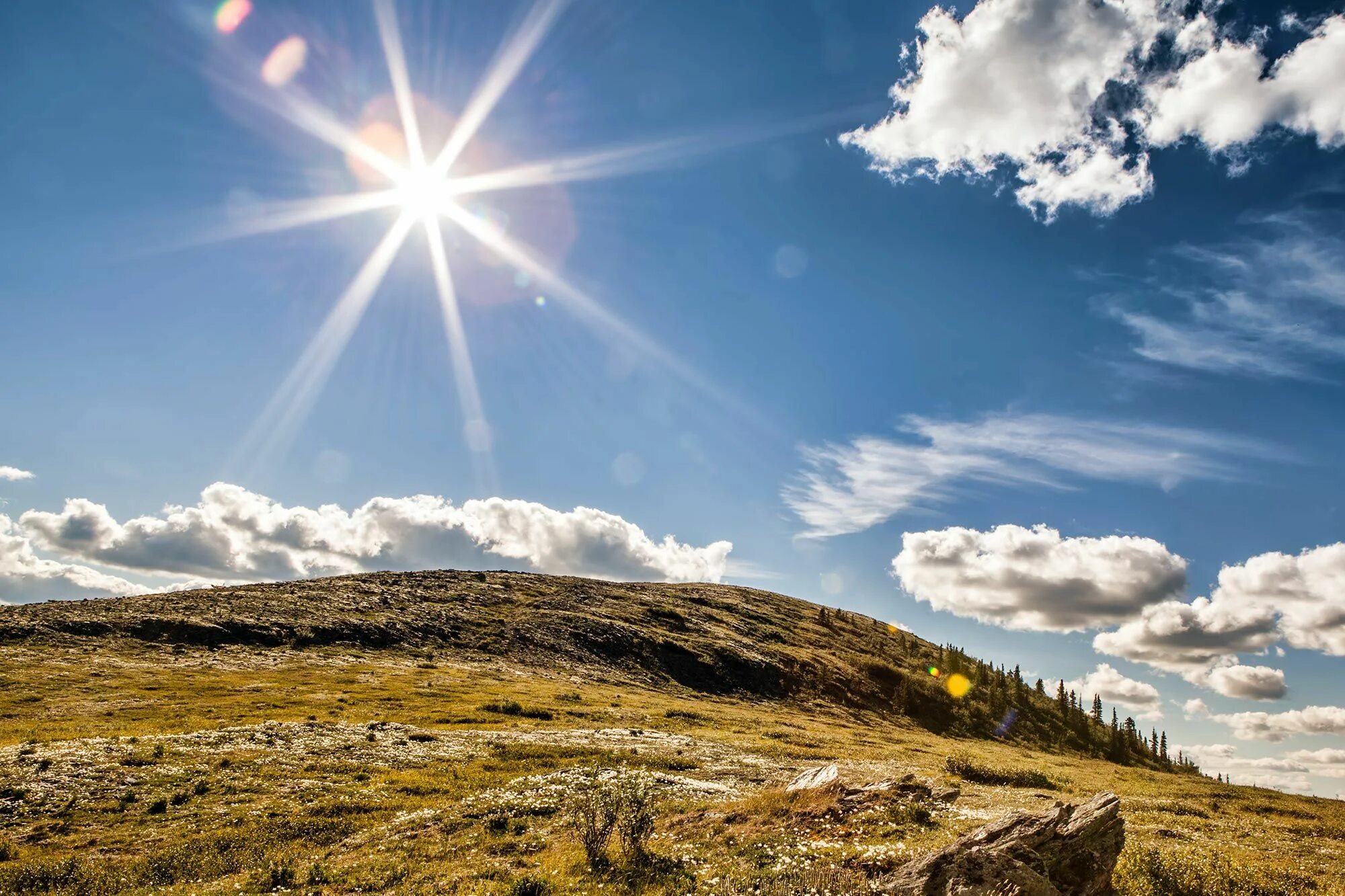 Sun light 1. Bright sunlight. sunlight remedy. sunlight image. sunlight баннер.