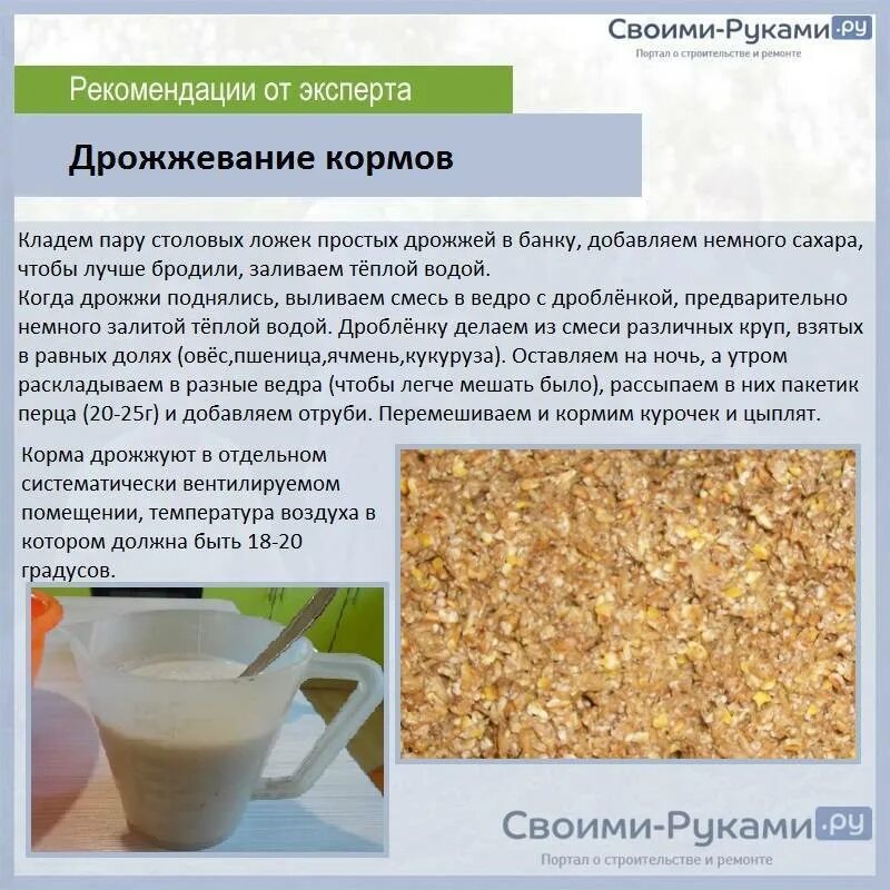 Чем кормить курей несушек. Дрожжевание кормов. Дрожжевание кормов для кур. Дрожжи кормовые для кур несушек как давать. Дрожжевание кормов для кур несушек в домашних условиях.