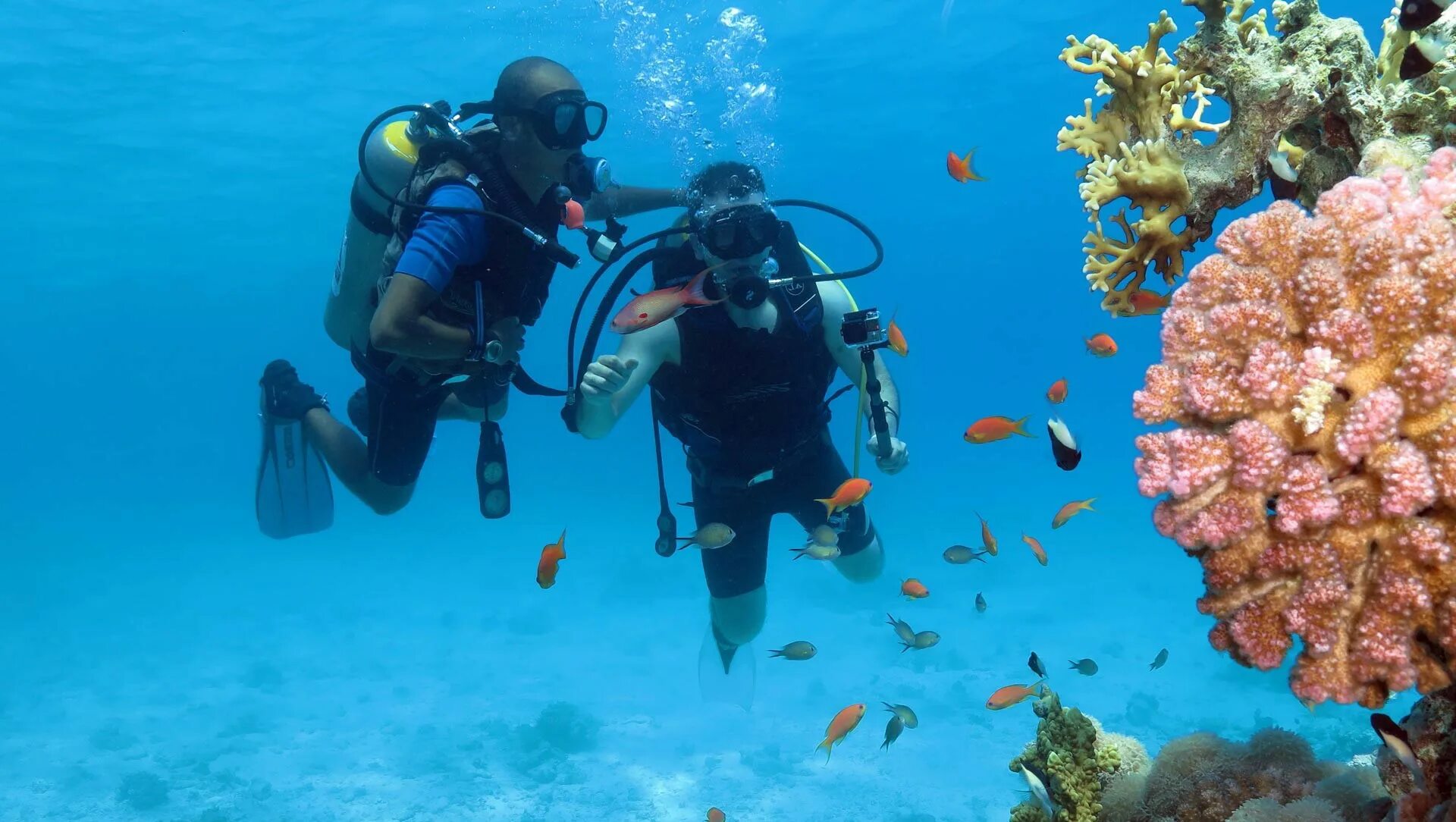 Sea dive. Шарм Эш Шейх снорклинг. Остров тиран Шарм-Эль-Шейх. Дайвинг Шарм-Эль-Шейх. Дайвинг в Египте Шарм-Эль-Шейх.