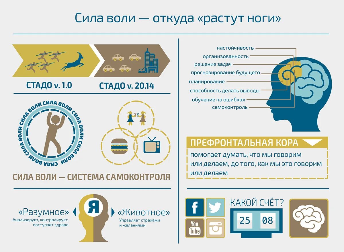 Памятка как развить силу воли. Силу воли тренирую. Формирование силы воли. Рекомендации по развитию силы воли. Сила воли действий