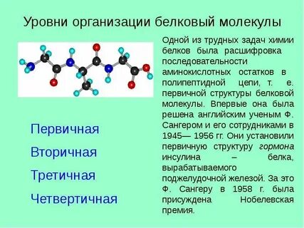 Структурный уровень молекулы белка