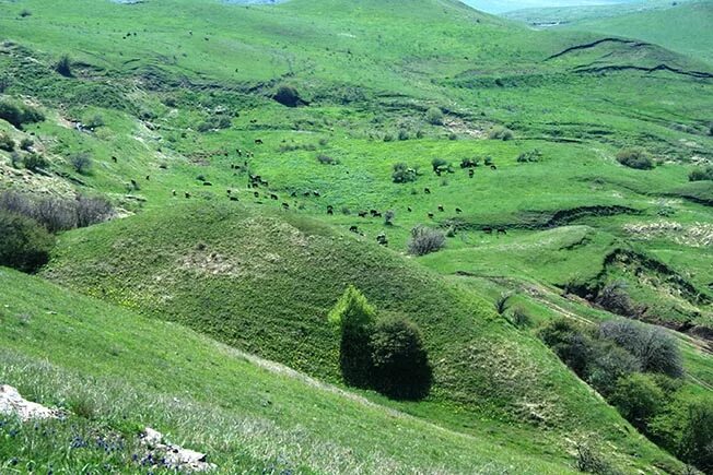 Гора недреманная ставропольский край. Стрижамент заказник ставрополь. Стрижамент ставрополь. Высота горы стрижамент. Стрижамент ставрополь.