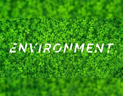 Environment слова