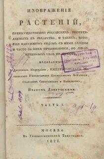 Какой вид имела первая книга