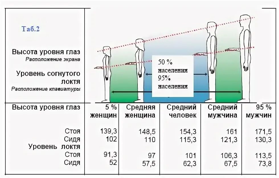 Высота уровня глаз. Высота уровня глаз стоящего человека. Средняя высота на уровне глаз человека. Уровень глаз человека. Height level