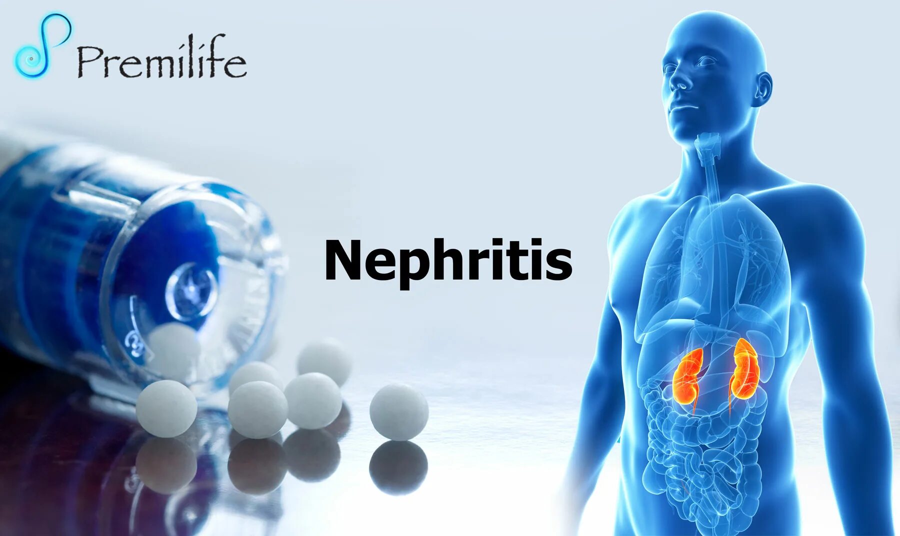 Nephritis значение термина. Nephritis значение термина