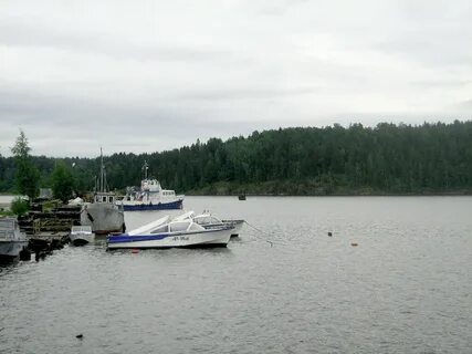 Форека карелия