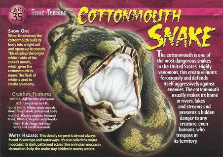 Snake перевод на русский с транскрипцией