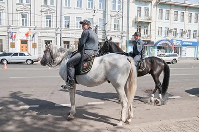 Лошадь в центре Москвы. Конная полиция в Москве. Конная полиция Нижний Новгород. Лошади в центре города.