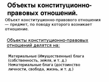 Особым видом конституционно правовых отношений являются