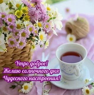 Утро было радостное праздничное
