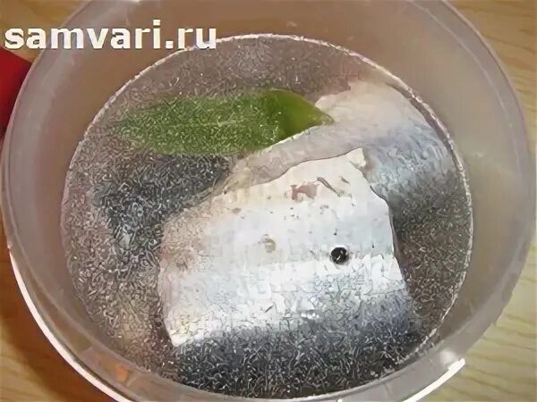 Солим рыбу в воде