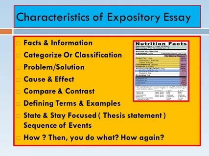 Terms examples