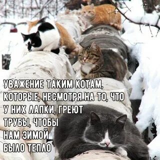 Не смотря на зиму