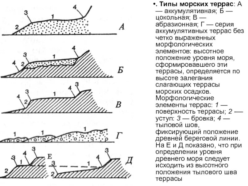 Типы морских террас аккумулятивная. Аккумулятивные формы рельефа морских побережий. Абразионные процессы. Формы абразионного рельефа. Аккумулятивные формы рельефа схема.